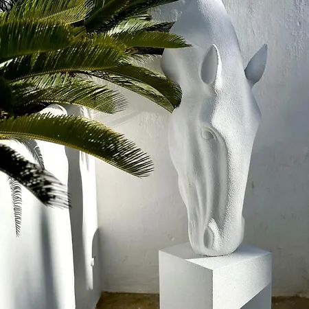 Apartment Enso Mykonos Living Mykonos Town
